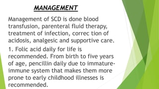 MANAGEMENT
Management of SCD is done blood
transfusion, parenteral fluid therapy,
treatment of infection, correc tion of
acidosis, analgesic and supportive care.
1. Folic acid daily for life is
recommended. From birth to five years
of age, pencillin daily due to immature-
immune system that makes them more
prone to early childhood illnesses is
recommended.
 