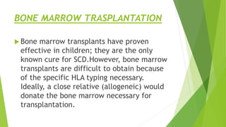 BONE MARROW TRASPLANTATION
 Bone marrow transplants have proven
effective in children; they are the only
known cure for SCD.However, bone marrow
transplants are difficult to obtain because
of the specific HLA typing necessary.
Ideally, a close relative (allogeneic) would
donate the bone marrow necessary for
transplantation.
 