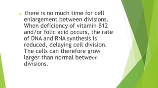 there is no much time for cell
enlargement between divisions.
When deficiency of vitamin B12
and/or folic acid occurs, the rate
of DNA and RNA synthesis is
reduced, delaying cell division.
The cells can therefore grow
larger than normal between
divisions.
 
