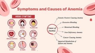 Anemia - Symptoms and Causes