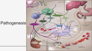 Pathogenesis
21
 