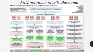 Pathogenesis of α-Thalassemia
31
 