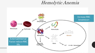 Hemolytic Anemia
51
External/Internal
Factor reduce RBC
life
Increase RBC
breakdown
 