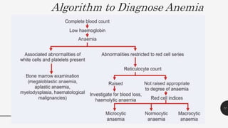 Algorithm to Diagnose Anemia
77
 