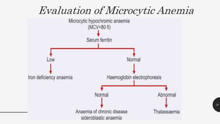 Evaluation of Microcytic Anemia
78
 