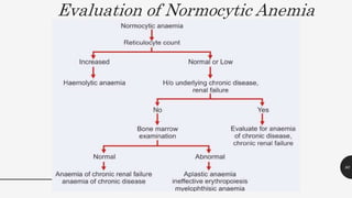 Evaluation of Normocytic Anemia
80
 