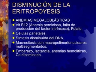 DISMINUCIÓN DE LA ERITROPOYESIS ANEMIAS MEGALOBLÁSTICAS Vit B12 (Anemia perniciosa, falta de producción del factor intrínseco), Folato. Células parietales. Síntesis disminuída del DNA. Macrocitosis con macropolimorfonucleares multisegmentados. Embarazo, lactancia, anemias hemolíticas, Ca diseminado. 