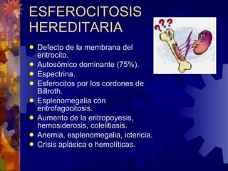 Defecto de la membrana del eritrocito. Autosómico dominante (75%). Espectrina. Esferocitos por los cordones de Billroth. Esplenomegalia con eritrofagocitosis. Aumento de la eritropoyesis, hemosiderosis, colelitiasis. Anemia, esplenomegalia, ictericia. Crisis aplásica o hemolíticas. ESFEROCITOSIS HEREDITARIA 