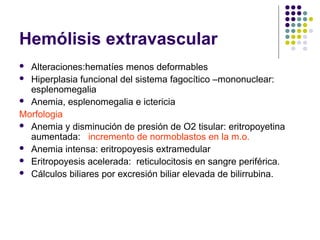 Hemólisis extravascular
 Alteraciones:hematíes menos deformables
 Hiperplasia funcional del sistema fagocítico –mononuclear:
  esplenomegalia
 Anemia, esplenomegalia e ictericia

Morfologia
 Anemia y disminución de presión de O2 tisular: eritropoyetina
  aumentada: incremento de normoblastos en la m.o.
 Anemia intensa: eritropoyesis extramedular
 Eritropoyesis acelerada: reticulocitosis en sangre periférica.
 Cálculos biliares por excresión biliar elevada de bilirrubina.
 