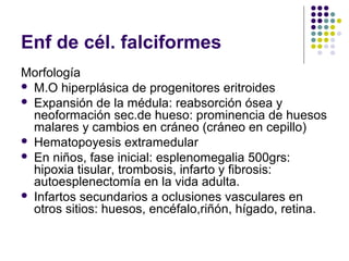 Enf de cél. falciformes
Morfología
 M.O hiperplásica de progenitores eritroides
 Expansión de la médula: reabsorción ósea y
  neoformación sec.de hueso: prominencia de huesos
  malares y cambios en cráneo (cráneo en cepillo)
 Hematopoyesis extramedular
 En niños, fase inicial: esplenomegalia 500grs:
  hipoxia tisular, trombosis, infarto y fibrosis:
  autoesplenectomía en la vida adulta.
 Infartos secundarios a oclusiones vasculares en
  otros sitios: huesos, encéfalo,riñón, hígado, retina.
 