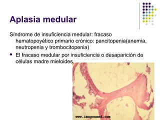 Aplasia medular
Síndrome de insuficiencia medular: fracaso
  hematopoyético primario crónico: pancitopenia(anemia,
  neutropenia y trombocitopenia)
 El fracaso medular por insuficiencia o desaparición de
  células madre mieloides
 