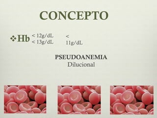 CONCEPTO
      < 12g/dL
Hb   < 13g/dL
                   <
                   11g/dL

                 PSEUDOANEMIA
     ...