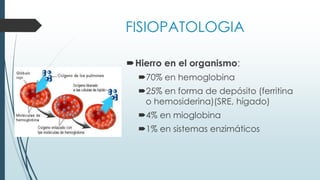 FISIOPATOLOGIA
Hierro en el organismo:
70% en hemoglobina
25% en forma de depósito (ferritina
o hemosiderina)(SRE, hígado)
4% en mioglobina
1% en sistemas enzimáticos
 