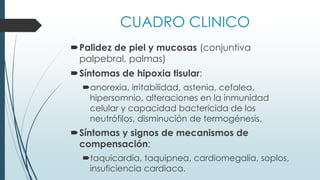 CUADRO CLINICO
Palidez de piel y mucosas (conjuntiva
palpebral, palmas)
Síntomas de hipoxia tisular:
anorexia, irritabilidad, astenia, cefalea,
hipersomnio, alteraciones en la inmunidad
celular y capacidad bactericida de los
neutrófilos, disminución de termogénesis.
Síntomas y signos de mecanismos de
compensación:
taquicardia, taquipnea, cardiomegalia, soplos,
insuficiencia cardiaca.
 