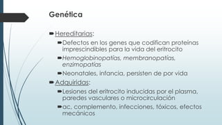 Genética
Hereditarias:
Defectos en los genes que codifican proteínas
imprescindibles para la vida del eritrocito
Hemoglobinopatías, membranopatías,
enzimopatías
Neonatales, infancia, persisten de por vida
Adquiridas:
Lesiones del eritrocito inducidas por el plasma,
paredes vasculares o microcirculación
ac, complemento, infecciones, tóxicos, efectos
mecánicos
 