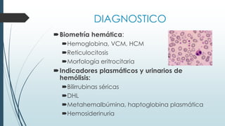 DIAGNOSTICO
Biometría hemática:
Hemoglobina, VCM, HCM
Reticulocitosis
Morfología eritrocitaria
Indicadores plasmáticos y urinarios de
hemólisis:
Bilirrubinas séricas
DHL
Metahemalbúmina, haptoglobina plasmática
Hemosiderinuria
 