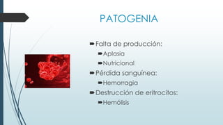 PATOGENIA
Falta de producción:
Aplasia
Nutricional
Pérdida sanguínea:
Hemorragia
Destrucción de eritrocitos:
Hemólisis
 