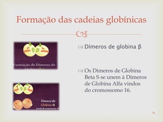 
Formação das cadeias globínicas
 Dímeros de globina β
 Os Dímeros de Globina
Beta S se unem à Dímeros
de Globina Alfa vindos
do cromossomo 16.
74
 