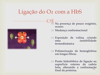 
Ligação do O₂ com a HbS
 Na presença de pouco oxigênio,
ocorre:
 Mudança conformacional
 Exposição da valina, criando
uma instabilidade
termodinâmica
 Polimerização da hemoglobina
em longas fibras.
 Ponto hidrofóbico de ligação na
superfície externa da cadeia
beta, alterando a conformação
final da proteína. 76
 