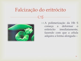 
Falcização do eritrócito
 A polimerização da Hb S
começa a deformar o
eritrócito imediatamente,
fazendo com que a célula
adquira a forma alongada –
78
 