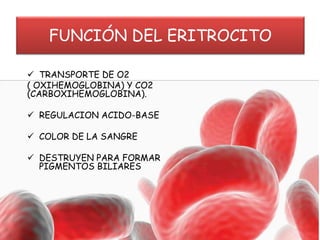 FUNCIÓN DEL ERITROCITO
 TRANSPORTE DE O2
( OXIHEMOGLOBINA) Y CO2
(CARBOXIHEMOGLOBINA).
 REGULACION ACIDO-BASE
 COLOR DE LA SANGRE
 DESTRUYEN PARA FORMAR
PIGMENTOS BILIARES
 