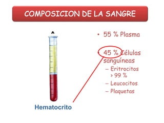 • 55 % Plasma
• 45 % Células
sanguíneas
– Eritrocitos
> 99 %
– Leucocitos
– Plaquetas
Hematocrito
 