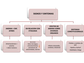 SIGNOS Y SINTOMAS
ANEMIA + ENF.
AFINES
Arteriosclerosis +
anemia
= dolor torácico
EN RELACION CON
ETIOLOGIA
Vit. B 12:
Dolor de lengua,
entumecimiento,
parestesias de
extremidades, diarrea
EFECTOS DE
ANEMIA SOBRE
DIVERSOS
ORGANOS
Infarto miocardio,
cerebral, intestinal
SINTOMAS
CONSTITUCIONALES
- Palidez y cambios de
piel
-Apatia y lasitud
-Debilidad y fatiga
 