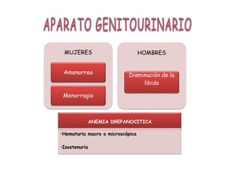 MUJERES
Amenorrea
Menorragia
HOMBRES
Disminución de la
libido
ANEMIA DREPANOCITICA
•Hematuria macro o microscópica
•Isostenuria
 