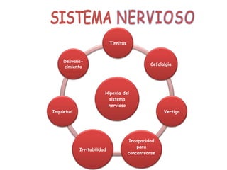 Hipoxia del
sistema
nervioso
Tinnitus
Cefalalgia
Vertigo
Incapacidad
para
concentrarse
Irritabilidad
Inquietud
Desvane-
cimiento
 