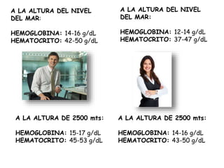 A LA ALTURA DEL NIVEL
DEL MAR:
HEMOGLOBINA: 14-16 g/dL
HEMATOCRITO: 42-50 g/dL
A LA ALTURA DEL NIVEL
DEL MAR:
HEMOGLOBINA: 12-14 g/dL
HEMATOCRITO: 37-47 g/dL
A LA ALTURA DE 2500 mts:
HEMOGLOBINA: 14-16 g/dL
HEMATOCRITO: 43-50 g/dL
A LA ALTURA DE 2500 mts:
HEMOGLOBINA: 15-17 g/dL
HEMATOCRITO: 45-53 g/dL
 