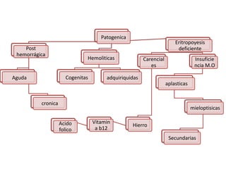 Patogenica
Post
hemorrágica
Aguda
cronica
Hemoliticas
Cogenitas adquiriquidas
Eritropoyesis
deficiente
Carencial
es
Hierro
Vitamin
a b12
Acido
folico
Insuficie
ncia M.O
aplasticas
mieloptisicas
Secundarias
 
