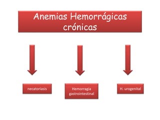 Anemias Hemorrágicas
crónicas
necatoriasis Hemorragia
gastrointestinal
H. urogenital
 