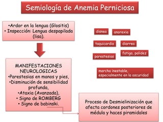 MANIFESTACIONES
NEUROLOGICAS
•Parestesias en manos y pies,
•Disminución de sensibilidad
profunda,
•Ataxia (Avanzada),
• Signo de ROMBERG
• Signo de babinski.
•Ardor en la lengua (Glositis)
• Inspección: Lengua despapilada
(lisa).
Proceso de Desmielinización que
afecta cordones posteriores de
médula y haces piramidales
Semiología de Anemia Perniciosa
disnea
fatiga, palidez
taquicardia
anorexia
diarrea
parestesias
marcha inestable,
especialmente en la oscuridad
 