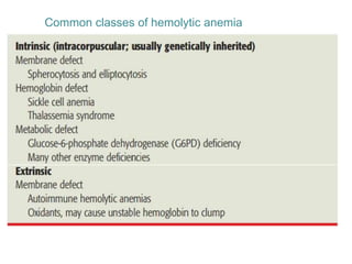 Common classes of hemolytic anemia
 