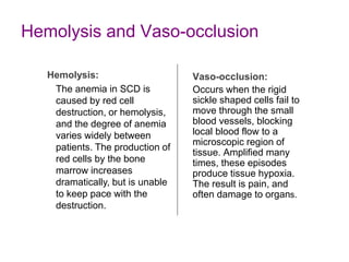 Hemolysis and Vaso-occlusion
Vaso-occlusion:
Occurs when the rigid
sickle shaped cells fail to
move through the small
blood vessels, blocking
local blood flow to a
microscopic region of
tissue. Amplified many
times, these episodes
produce tissue hypoxia.
The result is pain, and
often damage to organs.
Hemolysis:
The anemia in SCD is
caused by red cell
destruction, or hemolysis,
and the degree of anemia
varies widely between
patients. The production of
red cells by the bone
marrow increases
dramatically, but is unable
to keep pace with the
destruction.
 