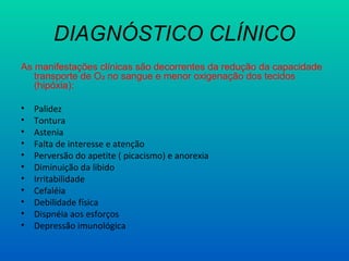 DIAGNÓSTICO CLÍNICO
As manifestações clínicas são decorrentes da redução da capacidade
transporte de O₂ no sangue e menor oxigenação dos tecidos
(hipóxia):
• Palidez
• Tontura
• Astenia
• Falta de interesse e atenção
• Perversão do apetite ( picacismo) e anorexia
• Diminuição da libido
• Irritabilidade
• Cefaléia
• Debilidade física
• Dispnéia aos esforços
• Depressão imunológica
 