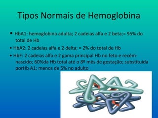 Tipos Normais de Hemoglobina
• HbA1: hemoglobina adulta; 2 cadeias alfa e 2 beta;= 95% do
total de Hb
• HbA2: 2 cadeias alfa e 2 delta; = 2% do total de Hb
• HbF: 2 cadeias alfa e 2 gama principal Hb no feto e recém-
nascido; 60%da Hb total até o 8º mês de gestação; substituída
porHb A1; menos de 5% no adulto
 