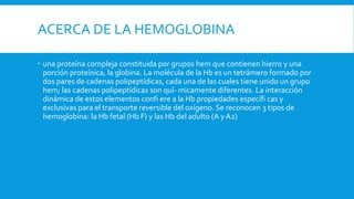 ACERCA DE LA HEMOGLOBINA
 una proteína compleja constituida por grupos hem que contienen hierro y una
porción proteínica, la globina. La molécula de la Hb es un tetrámero formado por
dos pares de cadenas polipeptídicas, cada una de las cuales tiene unido un grupo
hem; las cadenas polipeptídicas son quí- micamente diferentes. La interacción
dinámica de estos elementos confi ere a la Hb propiedades específi cas y
exclusivas para el transporte reversible del oxígeno. Se reconocen 3 tipos de
hemoglobina: la Hb fetal (Hb F) y las Hb del adulto (A y A2)
 