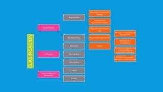 CLASIFICACION
fisiopatologica
Regenerativa
Respuesta reticulocitaria
elevada
Incremento de
regeneración medular
No regenerativa
Respuesta reticulocitaria
baja
Medula osea hipo/inactiva
causas
Alteracion en la síntesis de
hemoglobina
Alteracion en la
eritropoyesis
Anemias secundarias a una
enfermedad(lupus
eritematoso sistémico)
Estimulo eritropoyetico
ajustado a un estimulo bajo
morfologico
Microcitica
Normocitica
Macrocitica
Según la forma de
instauración
Aguda
Cronica
 