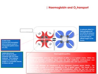 | Haemoglobin and O2 transport
A key function of a red cell is to carry and deliver oxygen to the tissues and return CO2 from the
tissues to the lungs. As a result the red cell has developed a specialised molecule called
haemoglobin (Hb). It is important to gain a basic understanding of its synthesis, functioning and
metabolism as errors in these processes lead to a number of anaemic states. It’s waste products are
also released when a red cell is destroyed prematurely and are therefore a valuable indicator of
haemolysis.
 
2,3-DPG
oxyhaemoglobin deoxyhaemoglobin
A molecule called 2,3 – 
Diphosphoglycerate 
(2,3-DPG) sits between 
the β chains and when 
increased helps to 
offload oxygen to the 
tissues.
HAEM MOLECULE
Each individual globin
combines with one haem
molecule. This molecule
contains iron and binds
oxygen in a reversible manner.
A mature red cell.
GLOBIN CHAIN
A normal adult haemoglobin 
(Hb A) molecule consists of
4 polypeptide (globin) chains: 
α1α2 β1β2.
Haemoglobinopathies
Thalassaemia: reduced rate of synthesis of either α or β globin chains. Within this
group of inherited conditions there may be both ineffective erythropoiesis and
haemolysis resulting in a microcytic anaemia sometime also with hypochromia.
Sickle cell disease: an inheritance of two abnormal β-globin genes (HbSS). The
abnormality consists of a point mutation in the β globin gene. This results in Hb
insolubility in it’s deoxygenated state with crystallization within the red cell causing
sickling of the cell and vascular occlusion. A common problem that affects primarily the
Afro-Caribbean populations.
Keypoint!
Oxygen (O2)
 