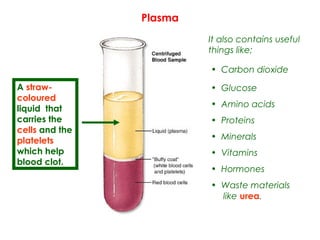 Plasma
A straw-
coloured
liquid that
carries the
cells and the
platelets
which help
blood clot.
• Carbon dioxide
• Glucose
• Amino acids
• Proteins
• Minerals
• Vitamins
• Hormones
• Waste materials
like urea.
It also contains useful
things like;
 