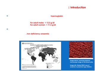 | Introduction
 
Anaemia can be defined as a reduction in the haemoglobin in the blood below normal range
for age and sex. Essentially, anaemia is defined as haemoglobin (Hb) concentration:
For adult males < 13.5 g/dl
For adult women < 11.5 g/dl
Anaemia is a global public health problem affecting both developing and developed
countries. It has major consequences for human health as well as social and economic
development. In 2008, iron deficiency anaemia was considered to be among the most important
contributing factors to the global burden of disease.
Image above: scanning electron
microscope image of red blood cells.
Image left: Global WHO map of
anaemia in preschool age children.
 