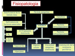 Insuficiencia de la
médula ósea
Deficiencia de
factores esenciales
Hemólisis
Fe2+
B12
Eritropoyesis
disminuida
Pérdida sanguínea
ANEMIA
Ácido
fólico
Factores
intracorpusculares
Taquicardia
Hiperpnea
Viscosidad
sanguínea
disminuida
Hipoxia
celular
Factores
extracorpusculares
Disminución de la
reistencia
periférica
Fisiopatologia
 