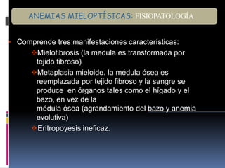 • Comprende tres manifestaciones características:
Mielofibrosis (la medula es transformada por
tejido fibroso)
Metaplasia mieloide. la médula ósea es
reemplazada por tejido fibroso y la sangre se
produce en órganos tales como el hígado y el
bazo, en vez de la
médula ósea (agrandamiento del bazo y anemia
evolutiva)
Eritropoyesis ineficaz.
ANEMIAS MIELOPTÍSICAS: FISIOPATOLOGÍA
 