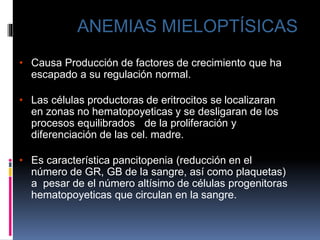 • Causa Producción de factores de crecimiento que ha
escapado a su regulación normal.
• Las células productoras de eritrocitos se localizaran
en zonas no hematopoyeticas y se desligaran de los
procesos equilibrados de la proliferación y
diferenciación de las cel. madre.
• Es característica pancitopenia (reducción en el
número de GR, GB de la sangre, así como plaquetas)
a pesar de el número altísimo de células progenitoras
hematopoyeticas que circulan en la sangre.
ANEMIAS MIELOPTÍSICAS
 