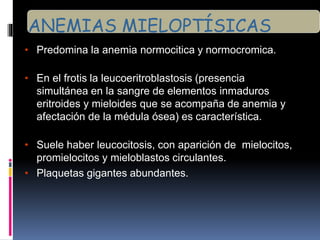 • Predomina la anemia normocitica y normocromica.
• En el frotis la leucoeritroblastosis (presencia
simultánea en la sangre de elementos inmaduros
eritroides y mieloides que se acompaña de anemia y
afectación de la médula ósea) es característica.
• Suele haber leucocitosis, con aparición de mielocitos,
promielocitos y mieloblastos circulantes.
• Plaquetas gigantes abundantes.
ANEMIAS MIELOPTÍSICAS
 
