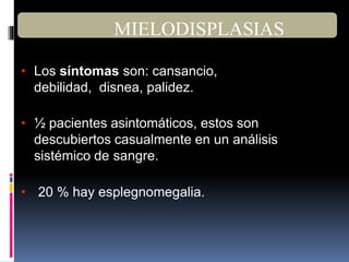 • Los síntomas son: cansancio,
debilidad, disnea, palidez.
• ½ pacientes asintomáticos, estos son
descubiertos casualmente en un análisis
sistémico de sangre.
• 20 % hay esplegnomegalia.
MIELODISPLASIAS
 