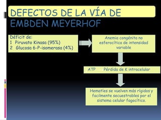 Déficit de:
1 Piruvato Kinasa (95%)
2 Glucosa 6-P-isomerasa (4%)
Anemia congénita no
esferocítica de intensidad
variable
ATP Pérdida de K intracelular
Hematíes se vuelven más rígidos y
facilmente secuestrables por el
sistema celular fagocítico.
DEFECTOS DE LA VÍA DE
EMBDEN MEYERHOF
 