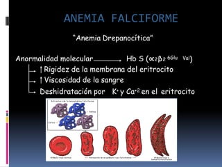 “Anemia Drepanocítica”
Val)
Anormalidad molecular Hb S (∝2β2 6Glu
Rigidez de la membrana del eritrocito
Viscosidad de la sangre
Deshidratación por K+ y Ca+2 en el eritrocito
ANEMIA FALCIFORME
 