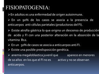 FISIOPATOGENIA:
En adultos es una enfermedad de origen autoinmune.
 En un 90% de los casos se asocia a la presencia de
anticuerpos anti-células parietales (productoras del FI).
 Existe atrofia gástrica lo que origina un descenso de producción
de acido y FI con una posterior alteración en la absorción de la
vitamina B12.
 En un 50% de casos se asocia a anticuerpos anti FI.
 Existe una posible predisposición genética.
 anemia megaloblastica juvenil que aparece en menores
de 10 años en los que el FI no es activo y no se observan
anticuerpos.
 
